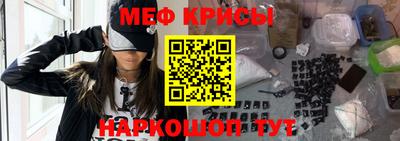 гашик Моздок