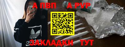 гашик Моздок