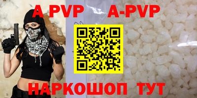 гашик Моздок