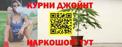 гашик Моздок