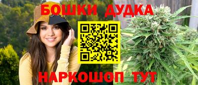 гашик Моздок