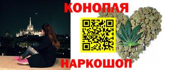 гашик Моздок