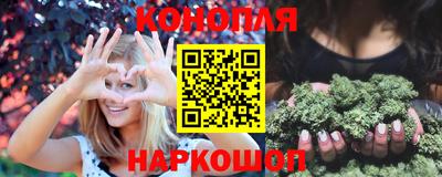 гашик Моздок