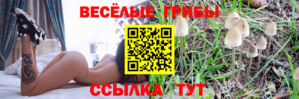 Псилоцибиновые грибы прущие грибы Стрежевой